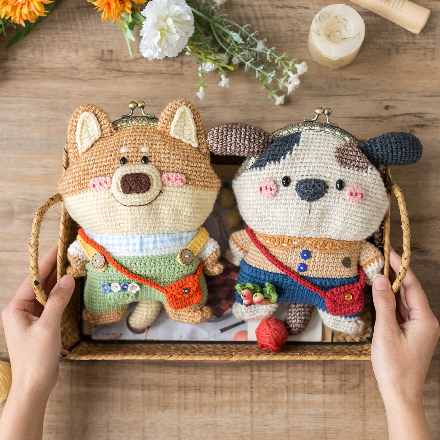 Cute Pet Kiss Lock Bag Crochet Yarn Kit | Susan's Family