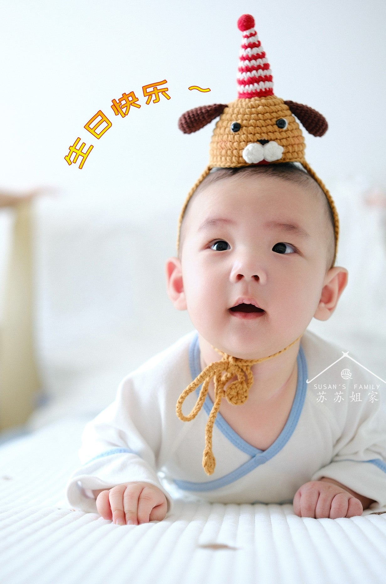 Chinese Zodiac Birthday Hat Crochet Pattern