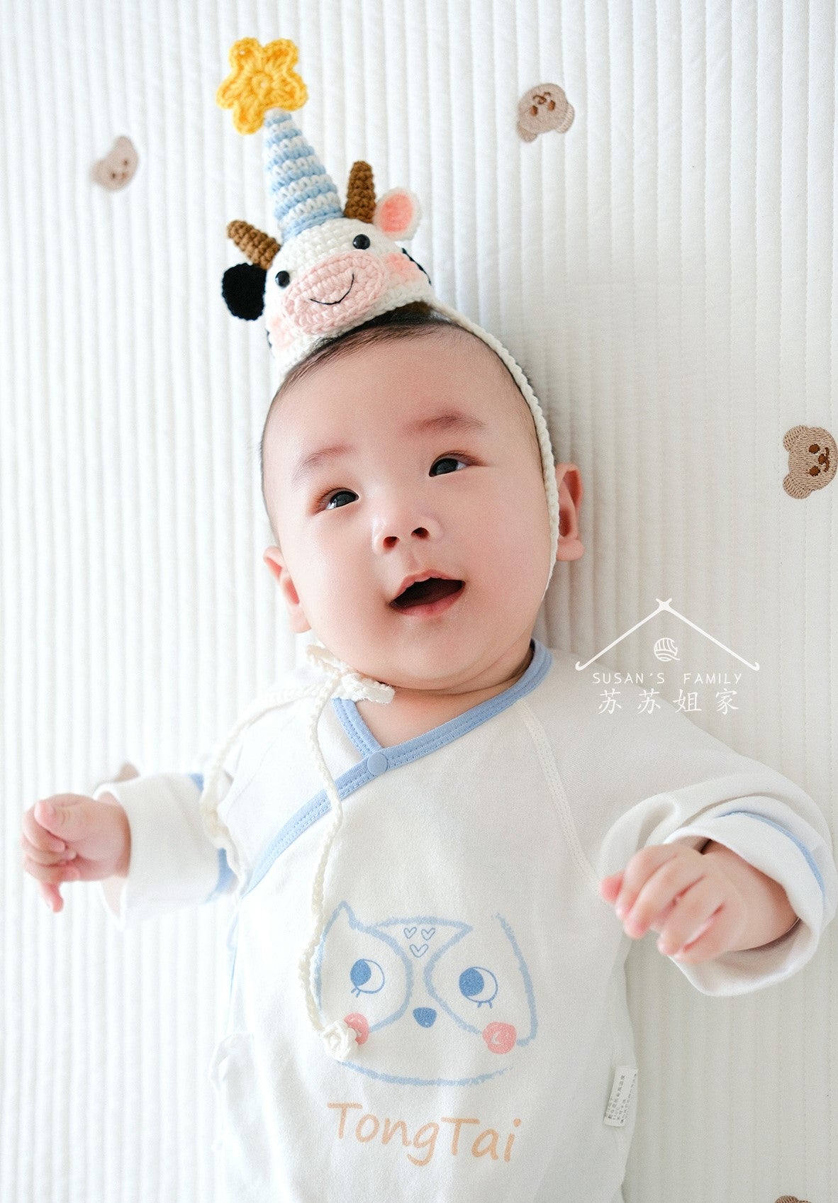 Chinese Zodiac Birthday Hat Crochet Pattern