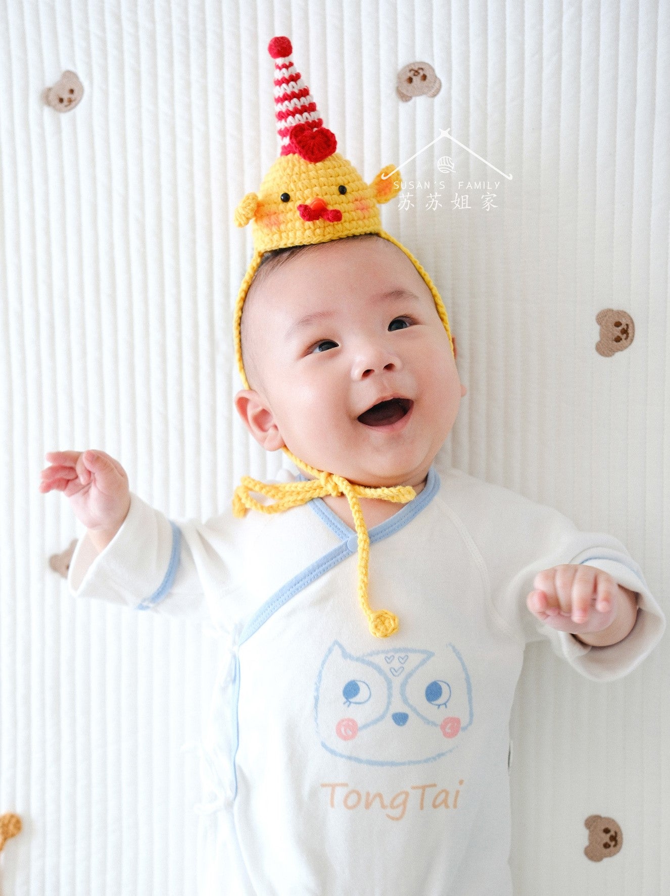 Chinese Zodiac Birthday Hat Crochet Pattern