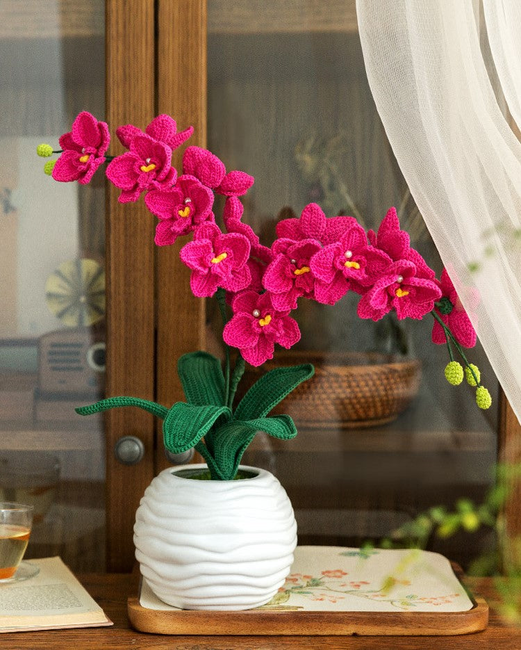 Orchid Bloom Accent Crochet Pattern