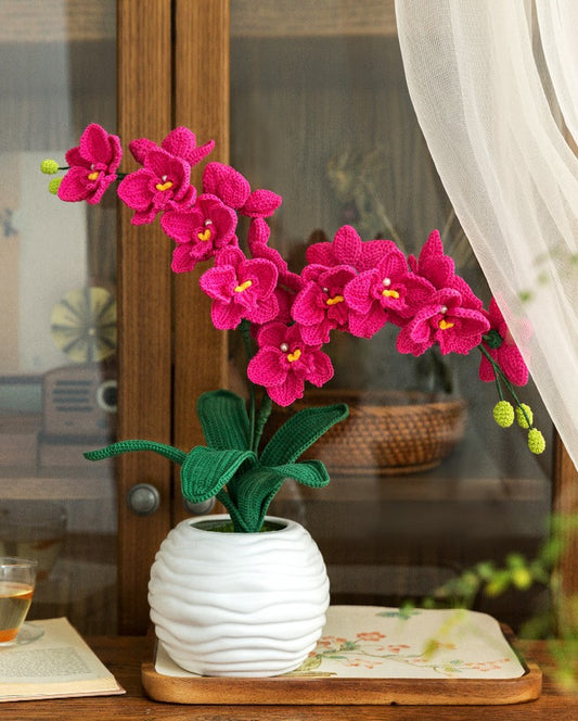 Orchid Bloom Accent Crochet Pattern